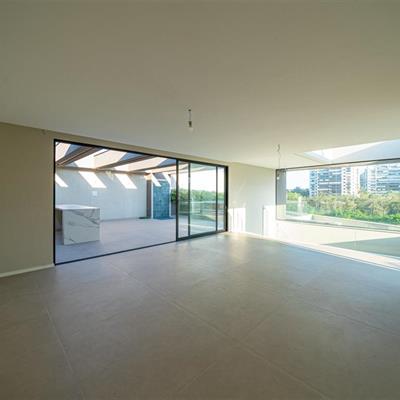 WhatsApp Image 2025-10-24 at 15.28.19 (15).jpeg