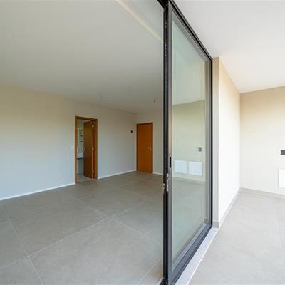 WhatsApp Image 2025-10-24 at 15.28.21 (18).jpeg